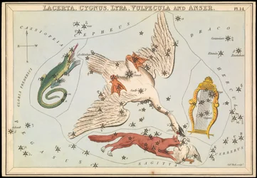 Lacerta, Cygnus, Lyra, Vulpecula og Anser, ca. 1825 (kort, papir, væv)