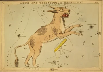Lynx og Telescopium Herschilii, Illustration fra 