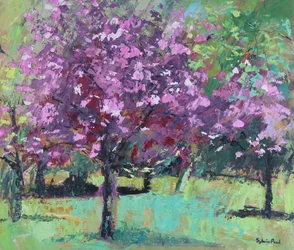 Blomstre i parken