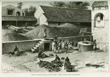 Inde i Maurel og Proms handelsstation i Boulam: sortering og forarbejdning af jordnødder, palmekerner og gummi. Gravure af Taylor efter et fotografi til illustration af beretningen Rejse i Senegambia og Portugisisk Guinea, i 1888, af kaptajn A. Brosselard