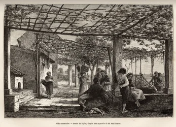 Villa Menton, gravering efter Taylors tegning, der illustrerer rejsen af Menton og Bordhighera, i 1871, af Adolphe Joanne, udgivet i "Le tour du monde"" 1874, redigeret af Edouard Charton, Hachette-udgaven, Paris. Selva samling.