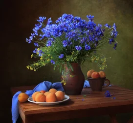 Blå kornblomster og abrikoser
