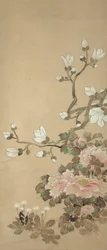 Pæoner, Magnolia og mælkebøtter