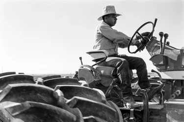 Familiefarmeren Ed Ker på A.M. Ker Ranch dyrker alfalfa- og...