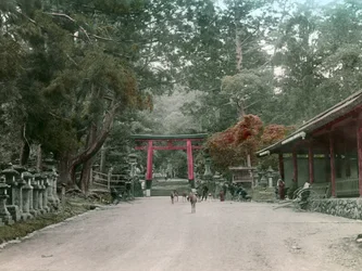 Indgang til lanterne-helligdommen i Kasauga Taisha-parken, Nara, ca. 1900-1915 (fotografi)