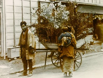 Omrejsende blomstersælger i Tokyos gader, ca. 1900 - 1915 (fotografi)