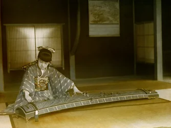 Portræt af en japansk kvinde, der spiller koto ca. 1900 - 1915 (fotografi)