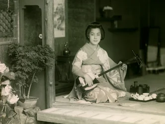 Portræt af en japansk kvinde, der spiller shamisen ca. 1900 - 1915 (fotografi)