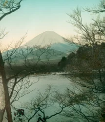 Udsigt over Fuji-bjerget fra Shoji søen, ca. 1900 - 1915 (fotografi)