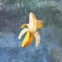 BANANAZ, 2015 (Kollaasi kankaalle)