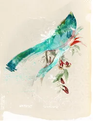 Fuglesilhuet, 2017 (Collage på lærred)