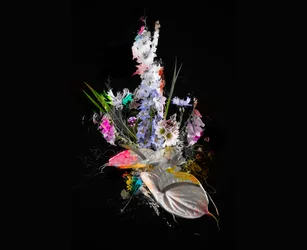 Bouquet II, 2017 (blandet medier på lærred)