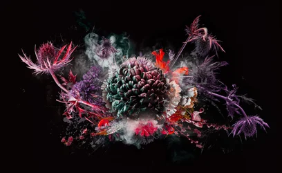 Bouquet X, 2016 (billede)