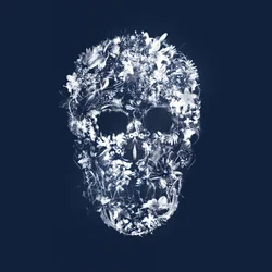 FloralSkull, 2018 (blandet medier på lærred)