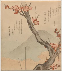 Blommetræ med Mount Fuji
