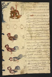 Or 4830 f.20, Hanens år, fra en »thailandsk spådomshåndbog (Phrommachat), der indeholder horoskoper baseret på den kinesiske dyrekreds«
