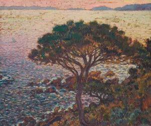 Cap Bénat, fyrretræ på kysten