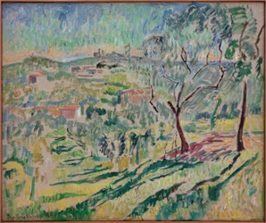 Olivenhave