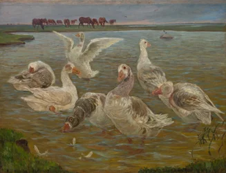 Gæssene