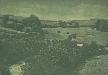 Kameraarbejde: Meadow-brook, 1904.