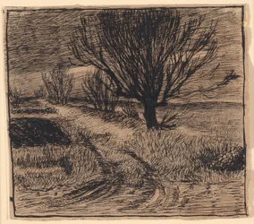 Markvej ved Lindenborg, vinter