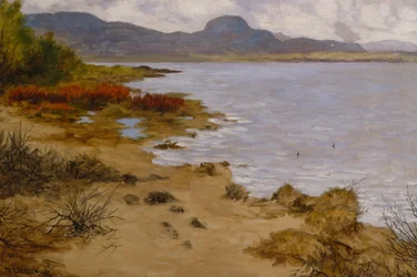 Strandafsnit ved Soneren (Andersnatten)