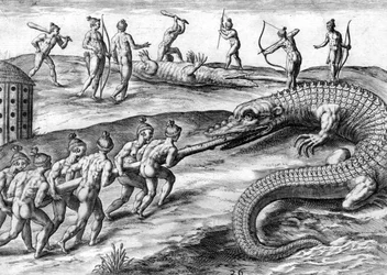 Timucuan-indianere på jagt efter alligator
