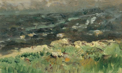 På havets strand