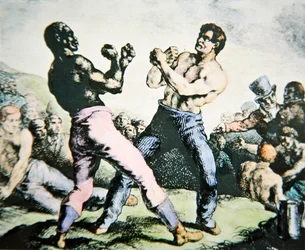 The Boxers (farve litho)