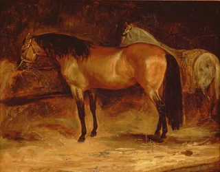 En Bay Horse ved en krybbe, med en grå hest i et tæppe