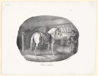 Hannoveraner (A Hanoverian Horse)