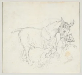 Æsel, der bærer en hund i munden (forsiden); Studie af hjort, der jages af hunde, hjortehoved (bagsiden)