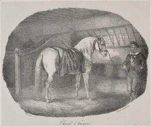 Hannoveransk hest