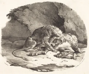 Løve, der fortærer en hest