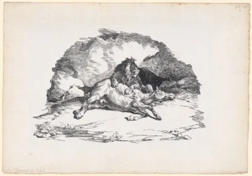 Løve, der fortærer en hest (A Lion Devouring a Horse)
