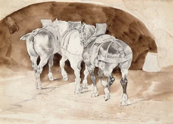 Tre tunge heste i sele (blyant og sepia vask)