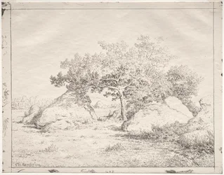Kirsebærtræ ved Blau