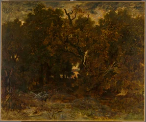 Forlader skoven, Fontainebleau: Solen går ned