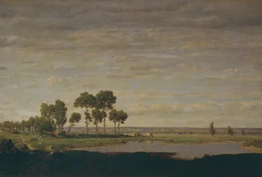 Forår, dam