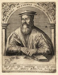 Conrad Gessner, schweizisk læge