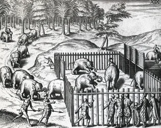 Elefantjagt i kongeriget Pegu, det nuværende Myanmar, af Theodor de Bry (1528-1598), kobberstik