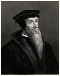 Calvin, 1800-tallet