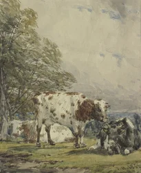 En undersøgelse af kvæg, 1800-tallet