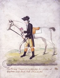 Apotheker Thyer (pen og blæk og wc på papir)