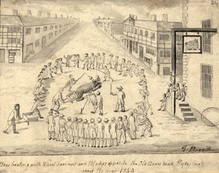 Bjørnefangst, Manchester, 1819 (pen og blæk og vask på papir)