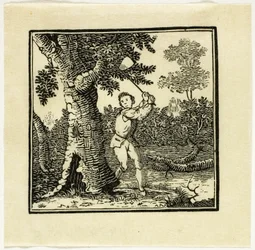 Bogillustration