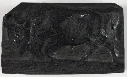 Træblok til Urus eller Vild Tyr, fra A General History of Quadrupeds