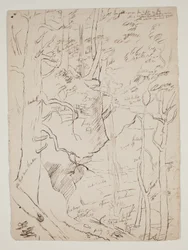 Kaaterskill Falls, ca. 1801-48 (pen og brunt blæk)