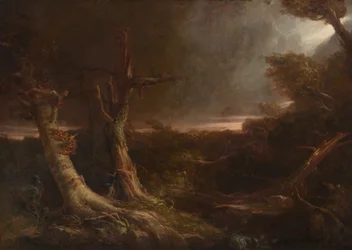 Tornado i en amerikansk skov