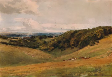 Arundel Park, med hjorte, 1880